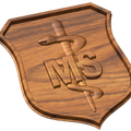 USAF Medical Service Badge Style A