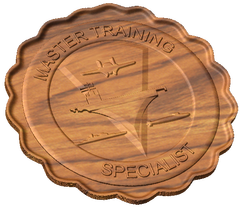 Navy Master Training Specialist Badge Style C
