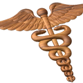 Hospital Corpsman Rate Style A