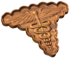 Hospital Corpsman Rate Style C