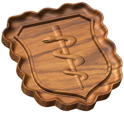 AF Physician Badge Style C