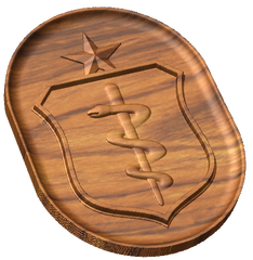 AF Senior Physician Badge Style B