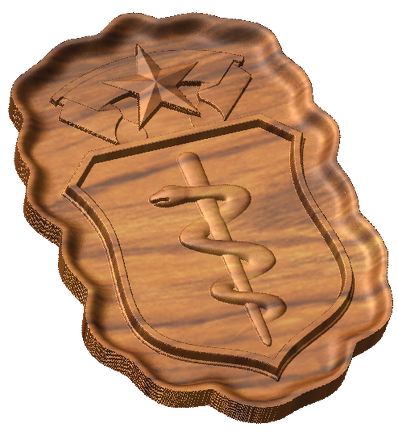 AF Master Physician Badge Style C