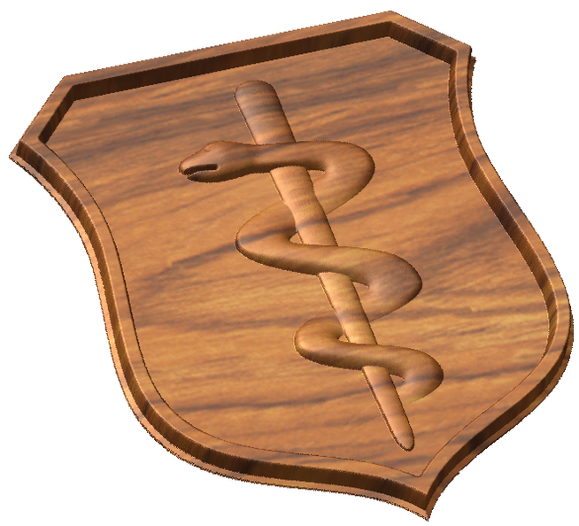 AF Physician Badge Style A