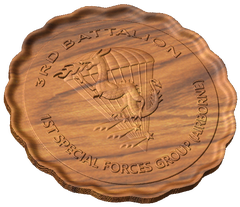 3rd Bn 1st Special Forces Group Style C