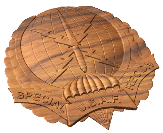 USAF Special Recon Crest Style A