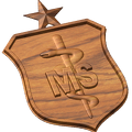 Senior Medical Service Badge Style A