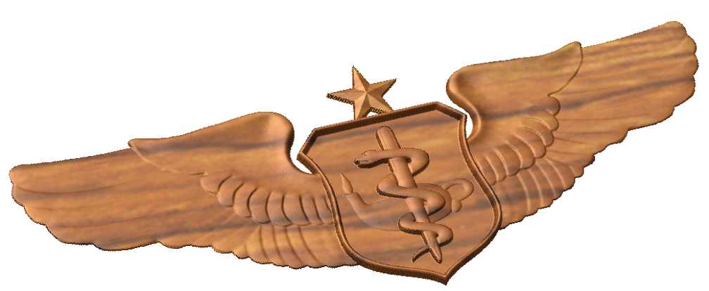 Senior Flight Nurse Badge Style A