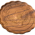 US Army Reserve John Parker Emblem Style C
