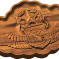 Master Air Battle Manager Badge Style C