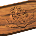 Master Air Battle Manager Badge Style B