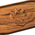 Senior Air Battle Manager Badge Style B