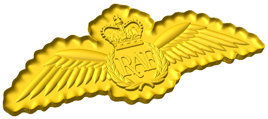 RAF Pilot Brevet Style C