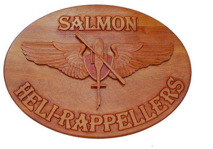 Salmon HeliRappellers.jpg