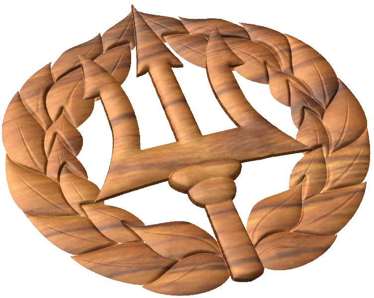 Navy Command Ashore Pin Style A
