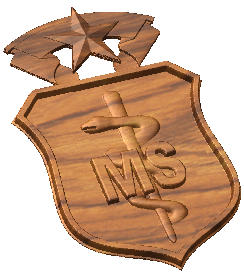 master_medical_service_badge_a_2.png