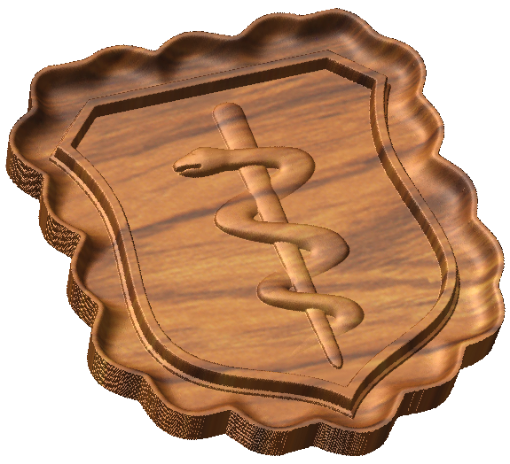 AF Physician Badge Style C