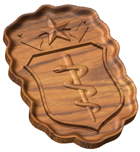 af_master_physician_badge_c_2.png