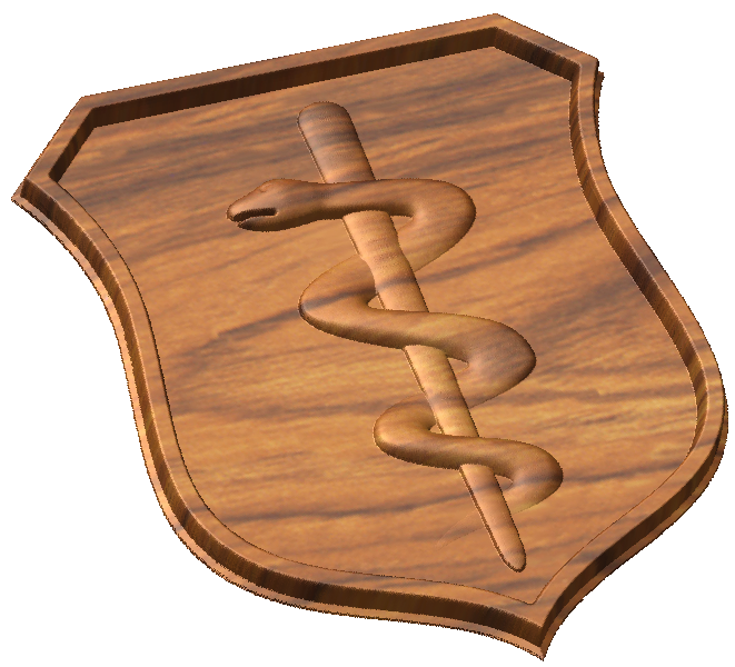 AF Physician Badge Style A