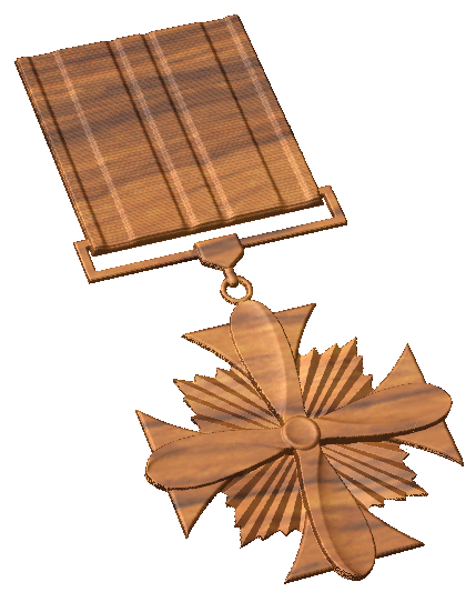 distinguished_flying_cross_a_2.png